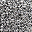 222-144027.SLC.jpg 10/0 Glass Seed Beads - Silver 20g Image