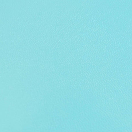 KDSKF.Aquamarine.03.jpg Shrut & Asch Kidskins Image