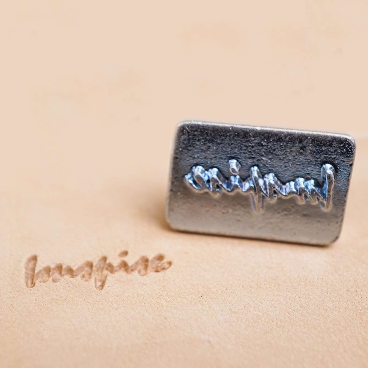 115-49116.SLC.1.jpg Inspire Inspirational Word Stamp Image