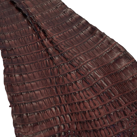 NCROC.Cognac.Hornback.02.jpg Nile Crocodile Tails Image