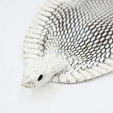 39-1.SLC.1.jpg Natural Cobra Skin with Head Image