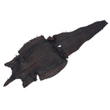 BCCS.Large.01.jpg Belly Cut Caiman Skins Image