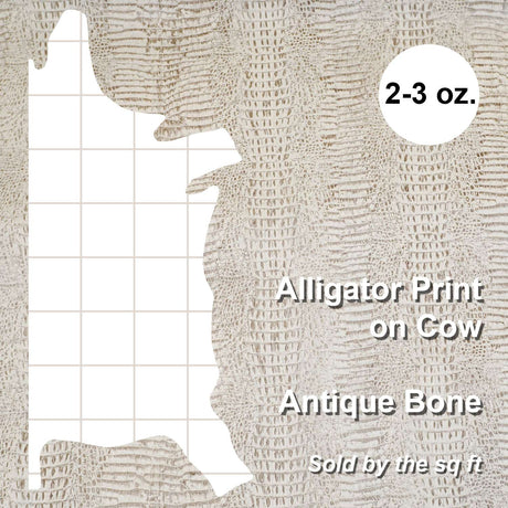 371-17904.SLC.4.jpg Embossed Gator on Cow - Antique Bone Image