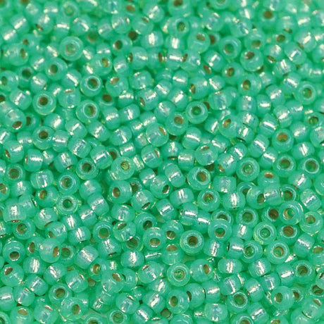 45-1194240.SLC.1.jpg 11/0 Seed Bead - Duracoat Silver Lined Dyed Mint Green 23g Image