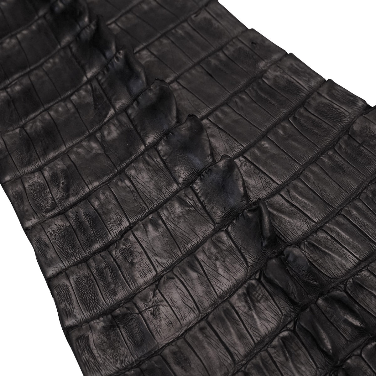 NCROC.Black.Hornback.03.jpg Nile Crocodile Tails Image