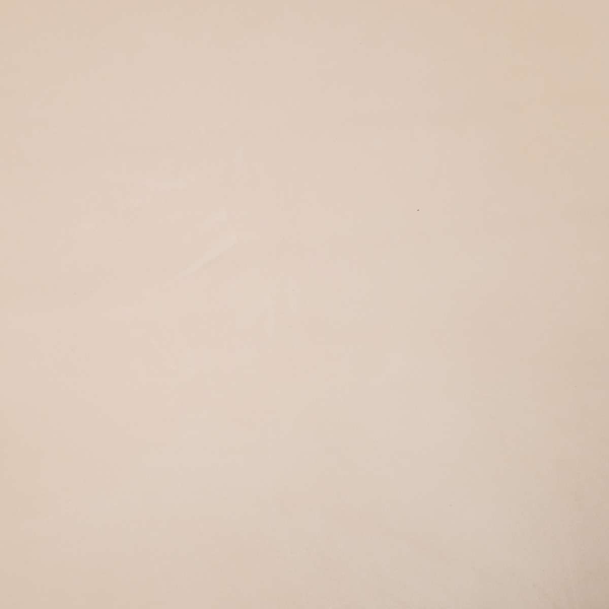 133-72256.SLC.4.jpg 5-6oz Medium Grade Tooling Veg Image