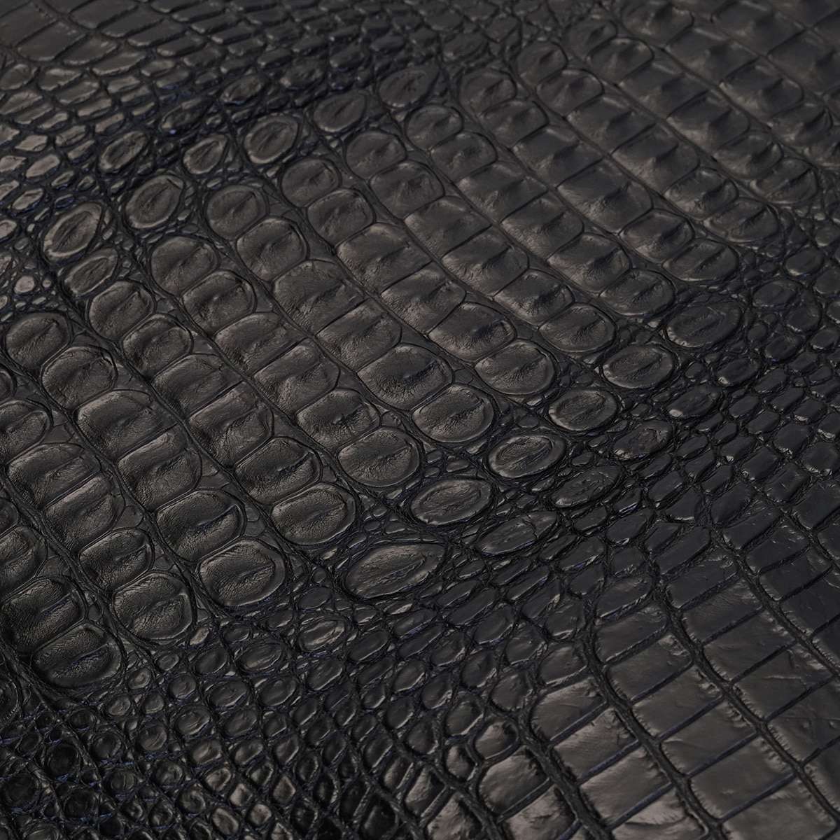 63-326.SLC.04.jpg Nile Croc with Hornback - Black Small Image