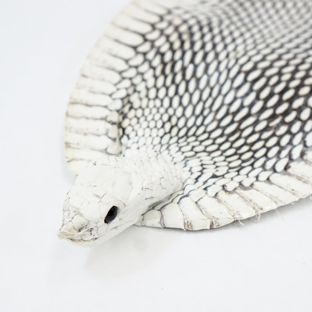 39-1.SLC.1.jpg Natural Cobra Skin with Head Image