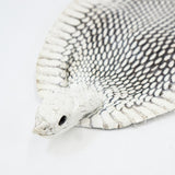 39-1.SLC.1.jpg Natural Cobra Skin with Head Image