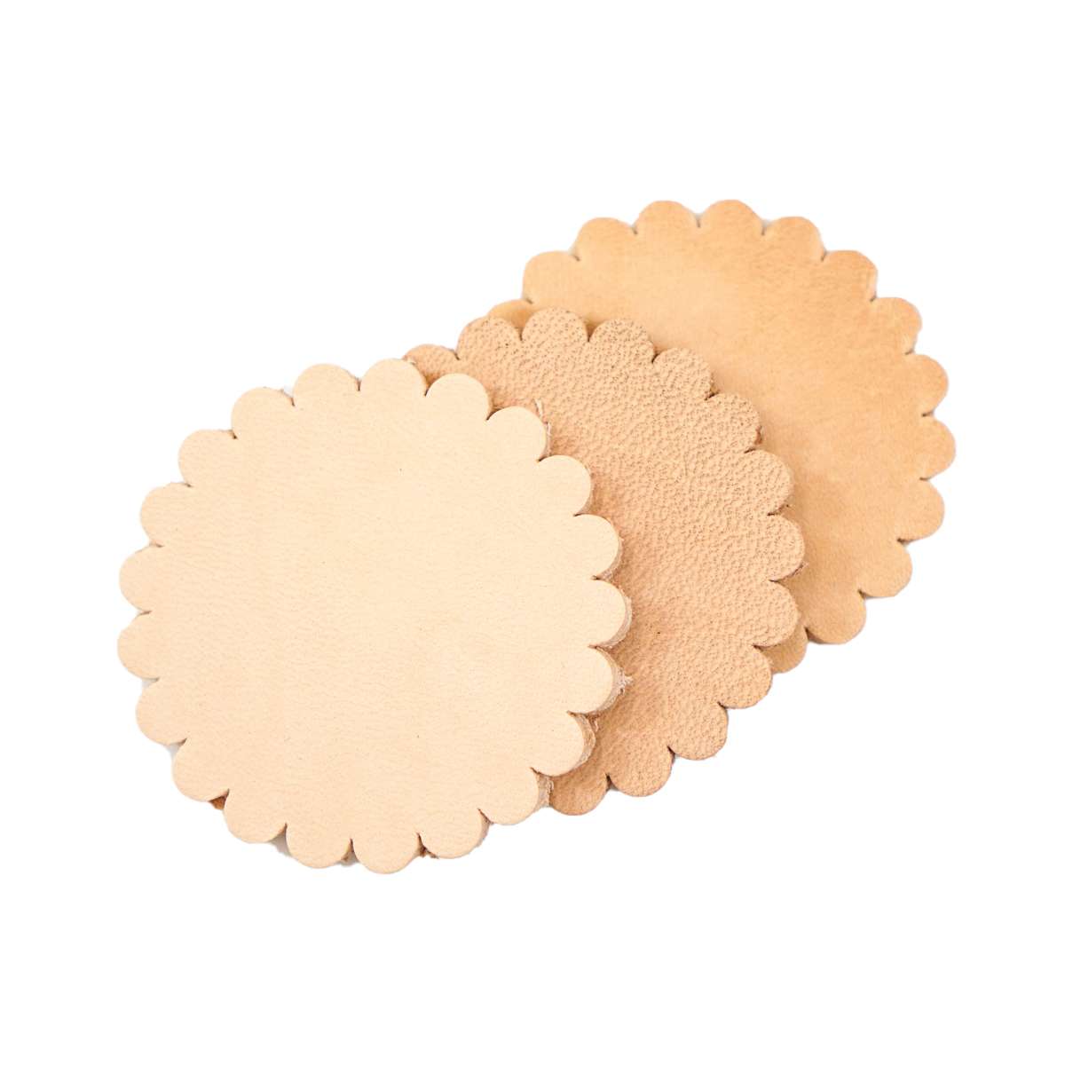 SHP086.SLC.2.jpg Leather Shape - Scallop Concho 6pk Image