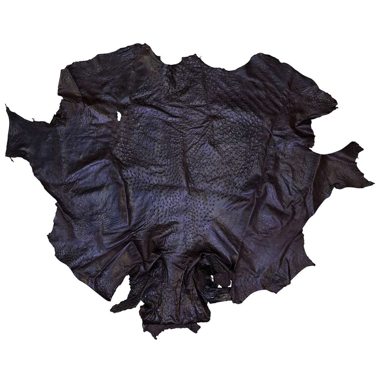 OSTH.Nicotine.01.jpg Ostrich Hides Image