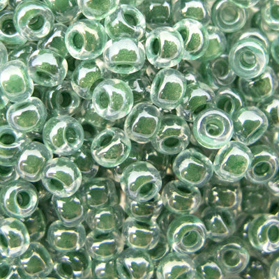 45-89217.SLC.jpg 8/0 Seed Beads - Forest Green Crystal 22g Image