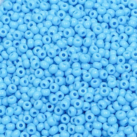 222-144025.SLC.1.jpg 10/0 Glass Seed Beads - Sky Blue 110g Image