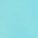 Shrut & Asch Kidskins, Aquamarine