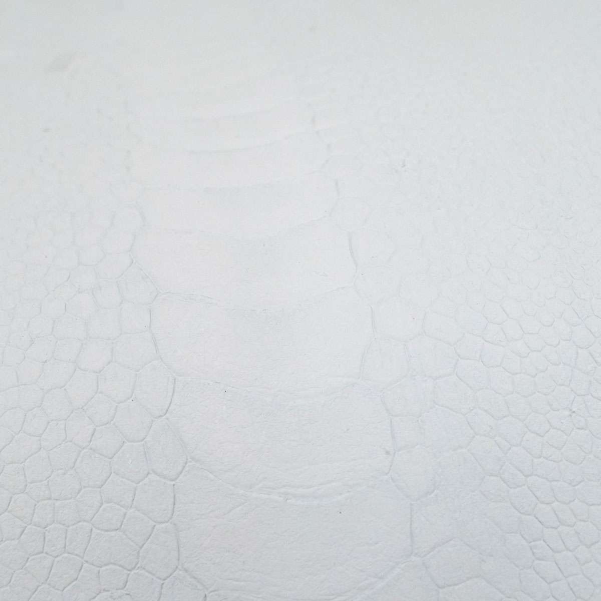 63-84011.SLC.03.jpg Ostrich Leg - Crust Image