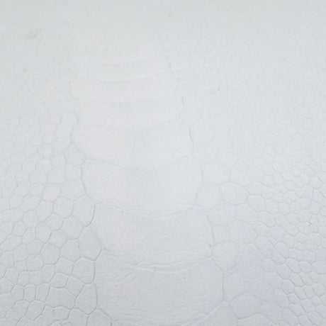 63-84011.SLC.03.jpg Ostrich Leg - Crust Image