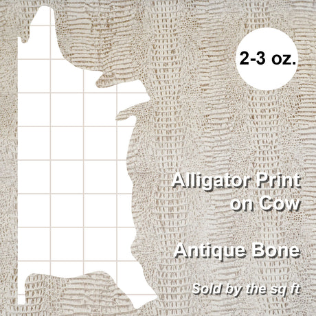 371-17904.SLC.4.jpg Embossed Gator on Cow - Antique Bone Image