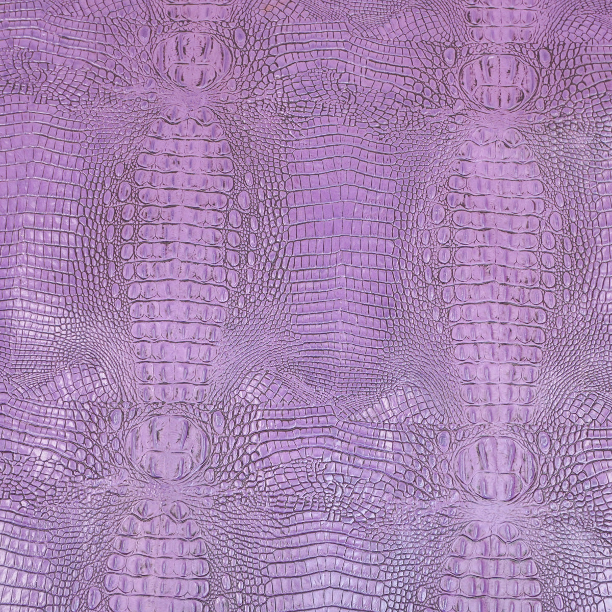 EGOC.Grape.04.jpg Embossed Gator on Cow Image