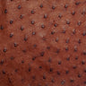 OSTH.Brandy.02.jpg Ostrich Hides Image