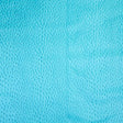 62-46.SLC.02.jpg Ostrich Print on Cow Sides - Turquoise Image