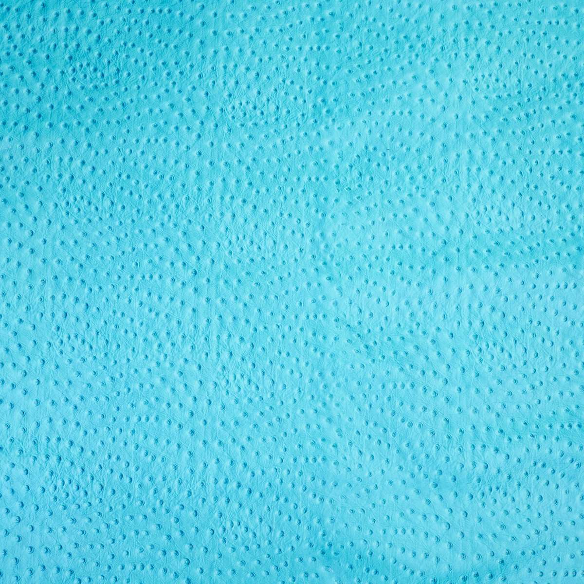 62-46.SLC.02.jpg Ostrich Print on Cow Sides - Turquoise Image