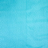62-46.SLC.02.jpg Ostrich Print on Cow Sides - Turquoise Image
