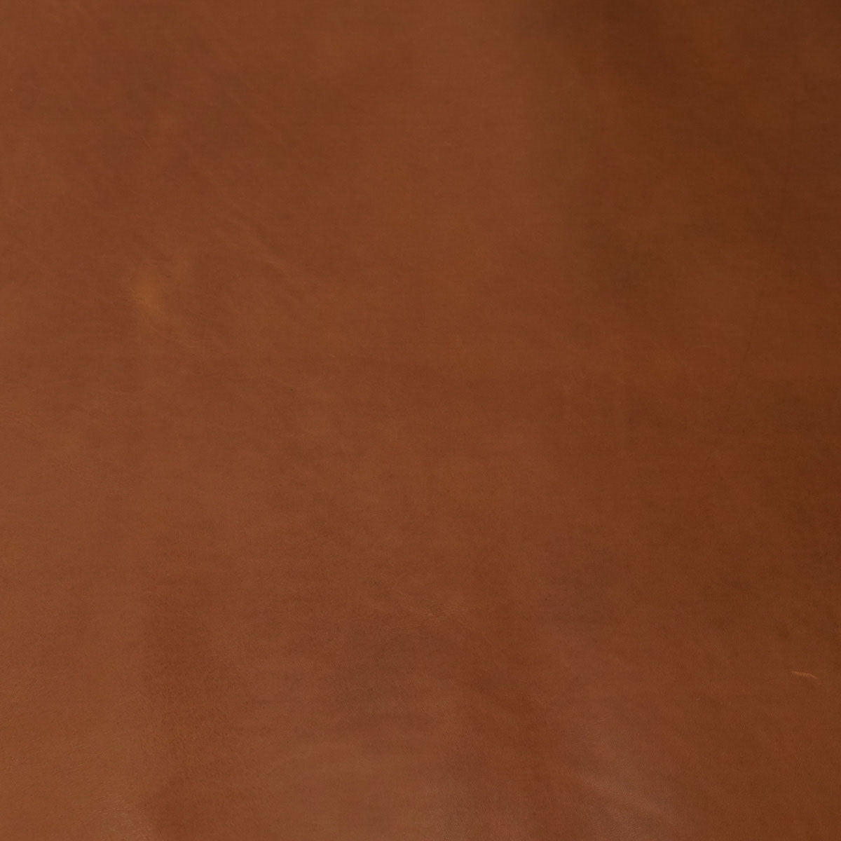 411K-005.SLC.03.jpg Cypress Oil Tan Sides Image