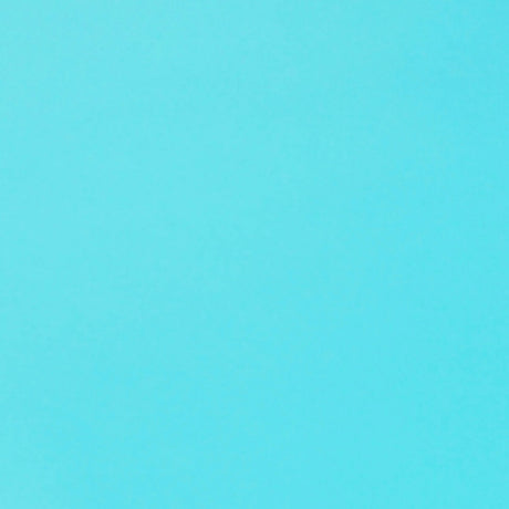 KDSKF.Robin's Egg Blue.03.jpg Shrut & Asch Kidskins Image