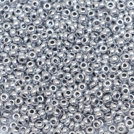 222-144027.SLC.1.jpg 10/0 Glass Seed Beads - Silver 110g Image