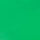 KDSKF.Kelly Green.03.jpg Shrut & Asch Kidskins Image