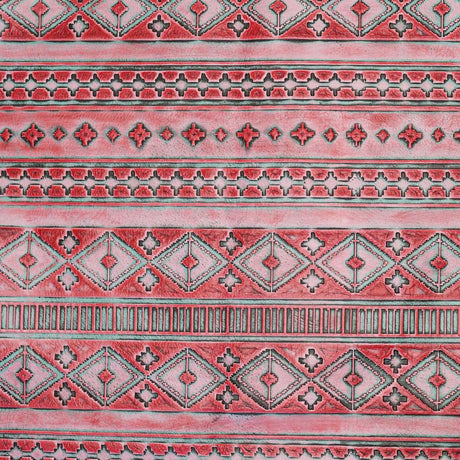 NAIH.Coral.03.jpg North American Indian Sides Image