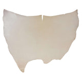 IDS.SP Small.01.jpg Import Double Shoulders Image