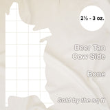 62-933311.SLC.4.jpg DeerTan Cow Side - Bone Image