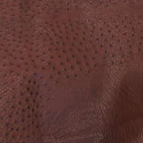 OSTH.Kango Tobac.02.jpg Ostrich Hides Image