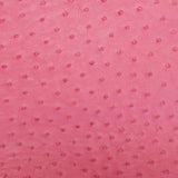 OSTH.Indian Pink.02.jpg Ostrich Hides Image