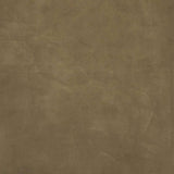 SBFS.Mohave Ash.04.jpg SB Foot Side Image