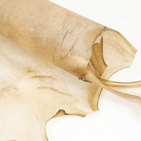 121-92102.SLC.2.jpg Goat Rawhide - Large Image