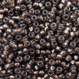 229-104.SLC.jpg Seed Beads 10/0 Black Diamond Crystal Lined - 20g Image