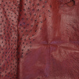 OSTH.Almond.02.jpg Ostrich Hides Image