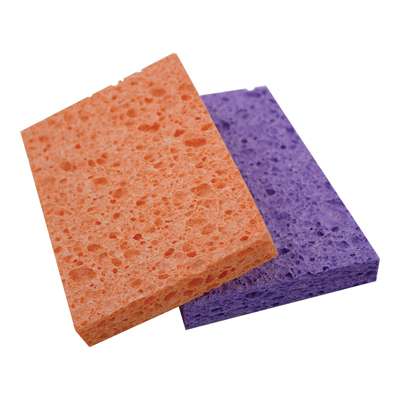 304-344700.SLC.jpg Sponge Image
