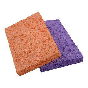 Sponge