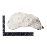 126-601.SLC.3.jpg Blue Fox Tail Image