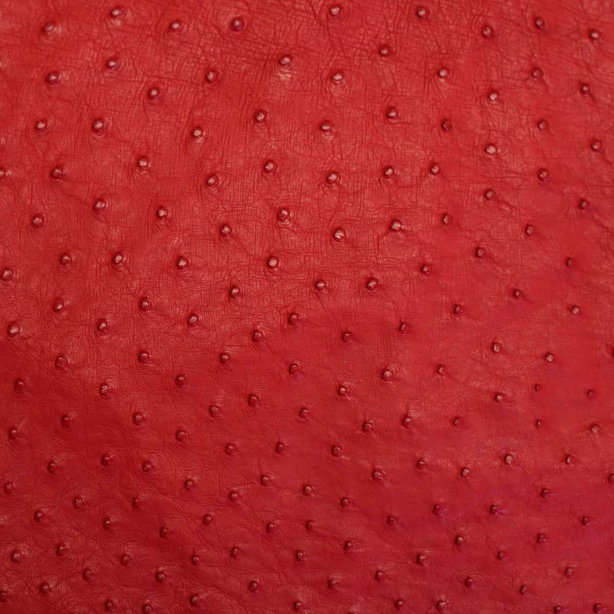 OSTH.Red.02.jpg Ostrich Hides Image