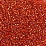 15/0 Seed Beads - Duracoat Silver Lined Watermelon 8.2g