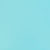 KDSKF.Aquamarine.03.jpg Shrut & Asch Kidskins Image