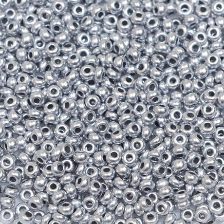 222-144027.SLC.1.jpg 10/0 Glass Seed Beads - Silver 110g Image