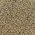 45-1594201.SLC.1.jpg 15/0 Seed Beads - Duracoat Galvanized Silver 8.2g Image