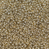 15/0 Seed Beads - Duracoat Galvanized Silver 8.2g
