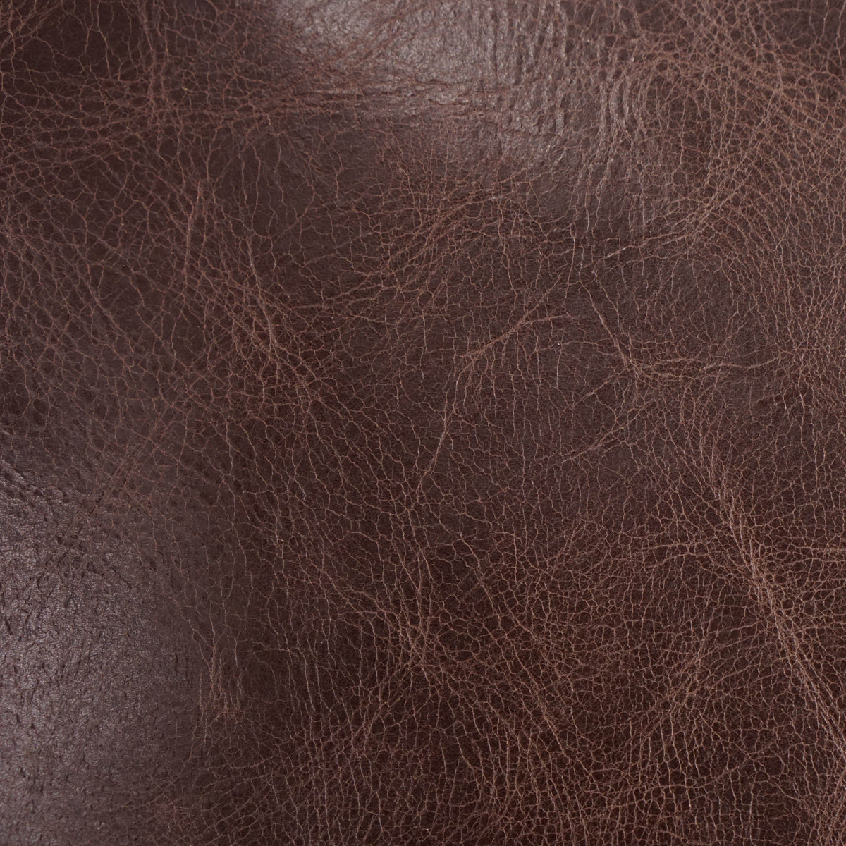 VENUP.Chocolate.02.jpg Venetian Upholstery Hide Image