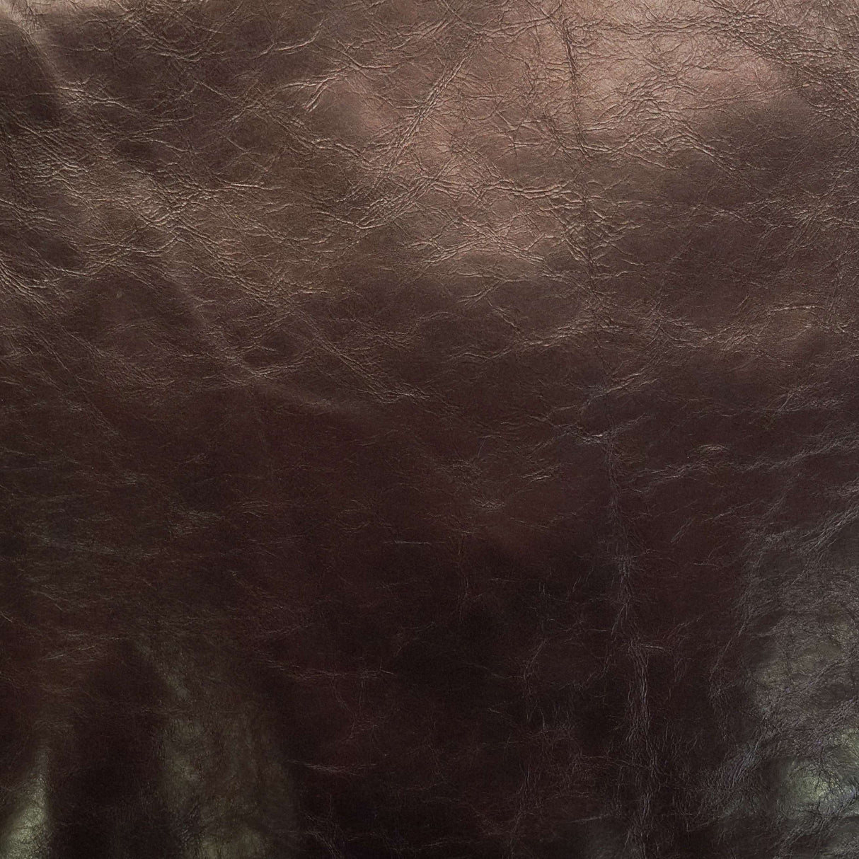 541-002.SLC.03.jpg Gilded Chocolate Calf Image